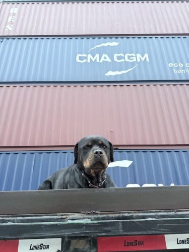 Shipping-container-homes-oklahoma-vetbox-containers-11-17-2025-10