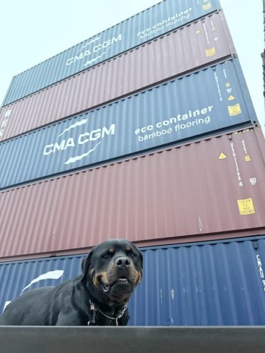 Shipping-container-homes-oklahoma-vetbox-containers-11-17-2025-11