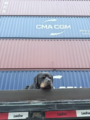 Shipping-container-homes-oklahoma-vetbox-containers-11-17-2025-9